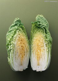 新鮮蔬菜零售 從農(nóng)田到餐桌的綠色旅程