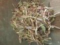 社區(qū)新鮮蔬菜團購指南 便捷地址、聯(lián)系方式和營業(yè)時間一覽
