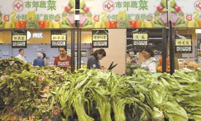 確保日供蔬菜新鮮安全 上海市郊蔬菜2小時(shí)直供 新鮮蔬菜零售新模式